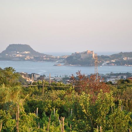 Puteoli House Otel Pozzuoli Dış mekan fotoğraf