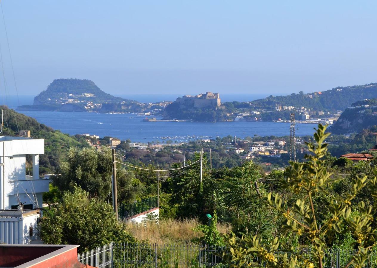 Puteoli House Otel Pozzuoli Dış mekan fotoğraf