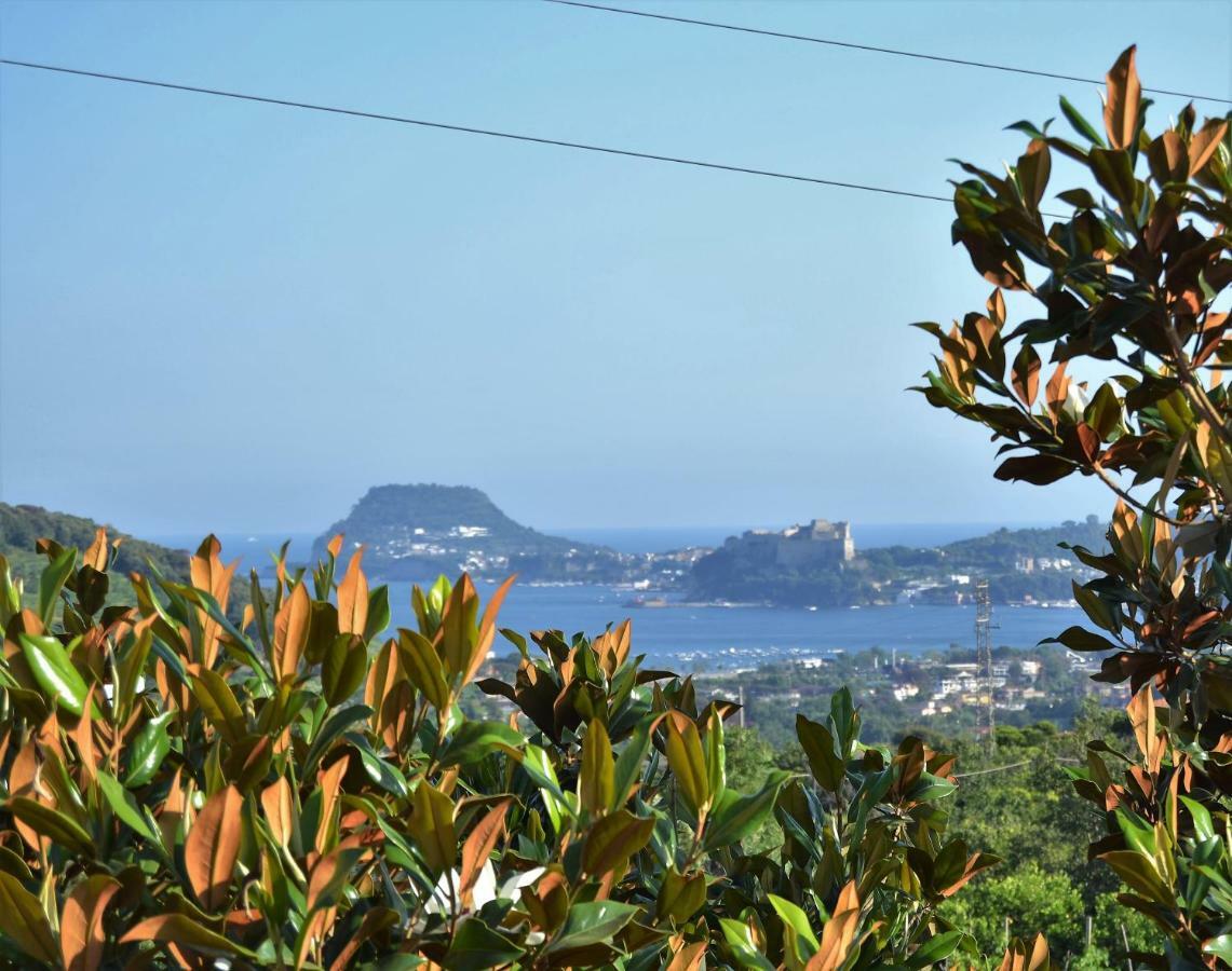 Puteoli House Otel Pozzuoli Dış mekan fotoğraf